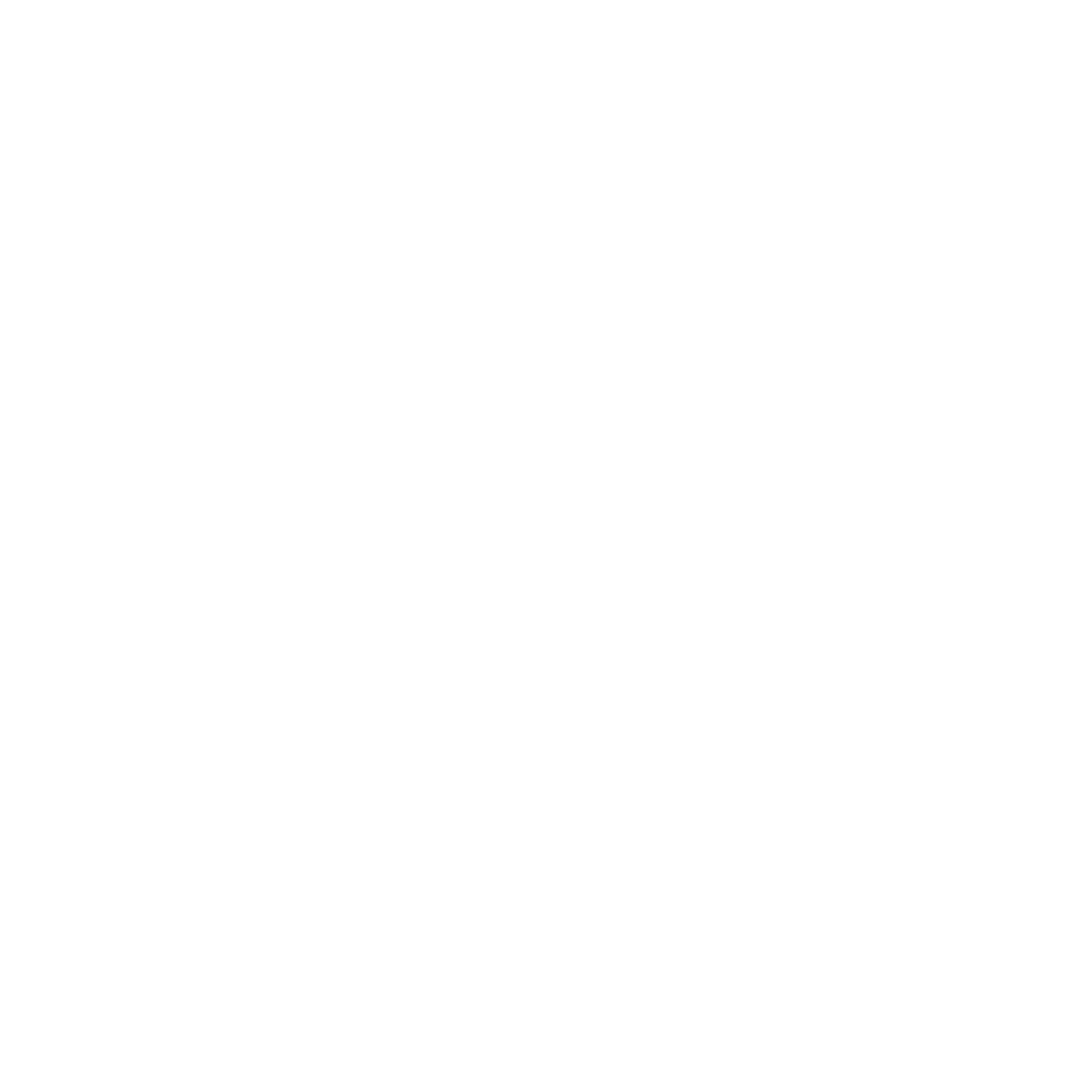 WiseGuy logo